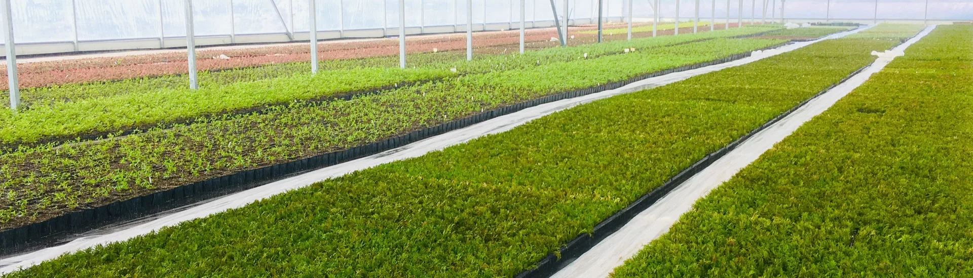 Blick vom Marcinków 3 Kindergarten