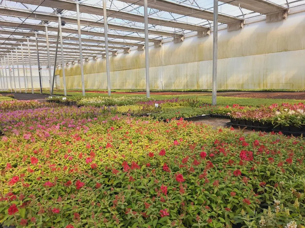 Blick vom Marcinków 1 Kindergarten